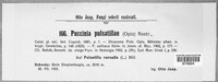 Puccinia pulsatillae image